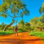 Pick up your car in Alice Springs and enjoy a free afternoon to explore