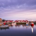  Bodø's port in the summer