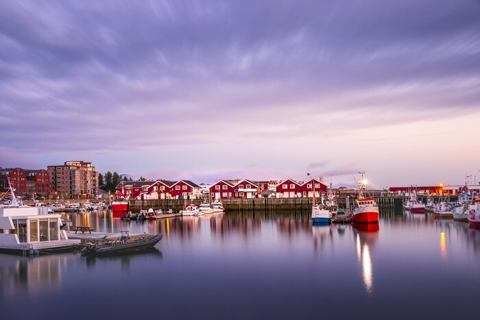Bodø's port in the summer