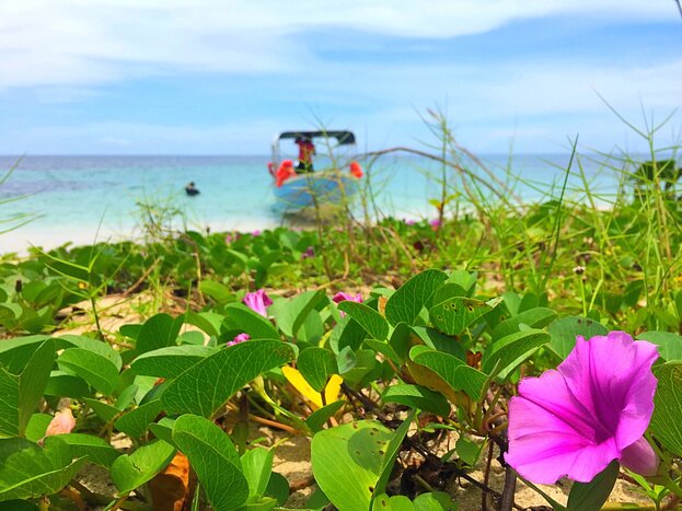Hop between islands to spot birds and wildlife around Isla Bastimentos