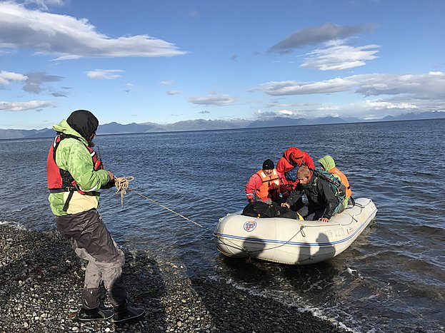 Explore the Wildlife of the Magellan Strait 