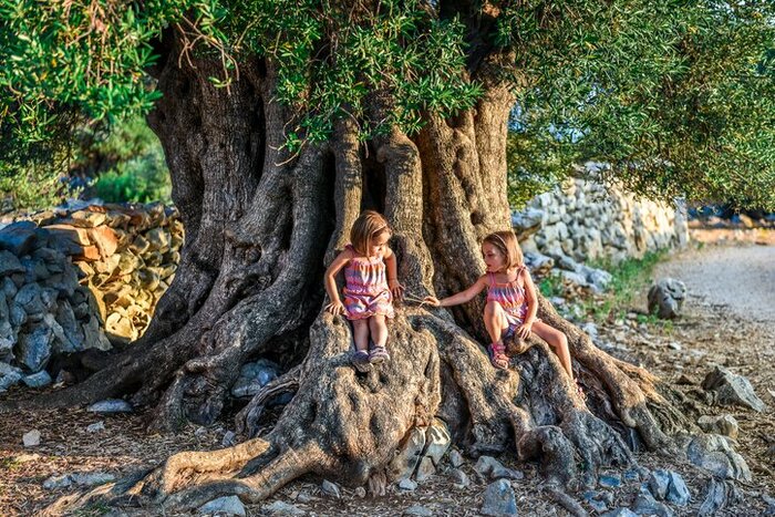 Take the kids to the Alejento countryside to explore olive groves and medieval villages