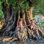 Take the kids to the Alejento countryside to explore olive groves and medieval villages