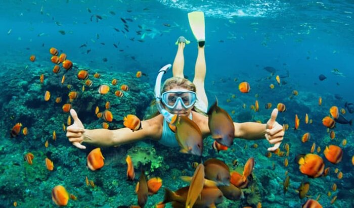 Cham Island Full day Snorkeling tour