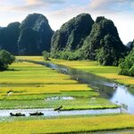 Rice fields and river in Ninh Binh, Vietnam