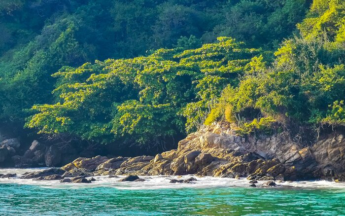 The waves in Puerto Escondido are renowned for their size and power, making it a haven for surfers