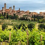 Sample wine gelato on day trip to the village of San Gimignano in Tuscany, Italy