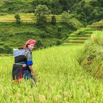 Sped time with hill tribe members in northern Vietnam