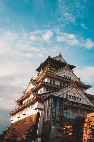 *Private Guided tour in Osaka:  Castle, Street Eats and Local Energy
