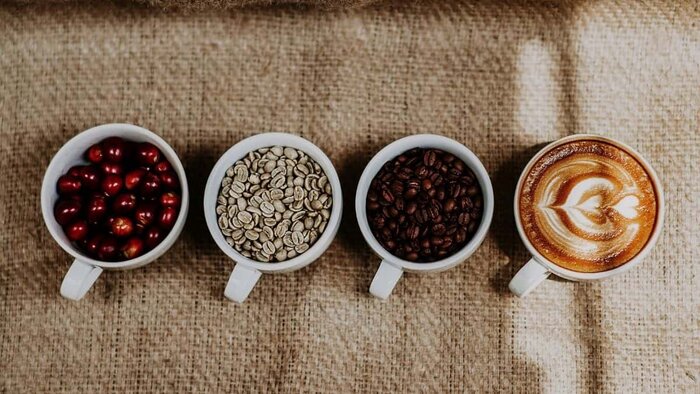 Visit to a historic coffee farm