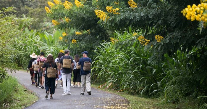 Araksa Tea Experience & Adventure at Sri Lanna National Park