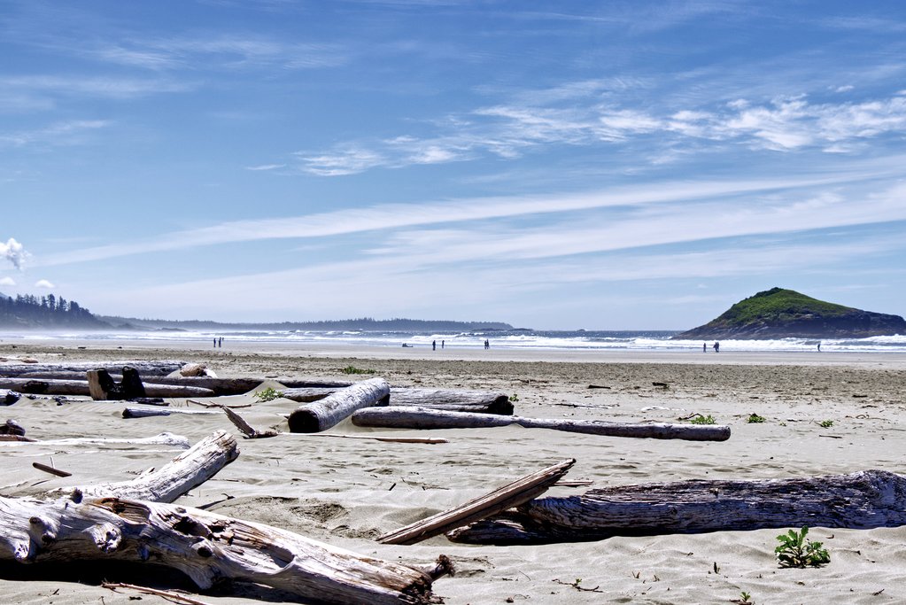 Driftwood on Chesterman Beach south of Tofino