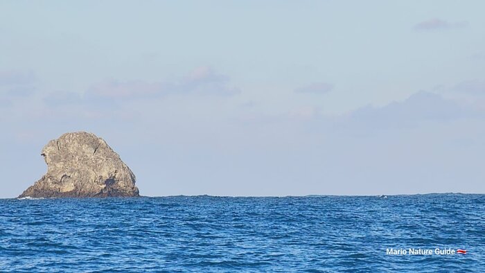 Sirena Park Station Private Tour