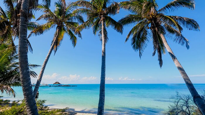 Explore Isla Mujeres and Isla Contoy