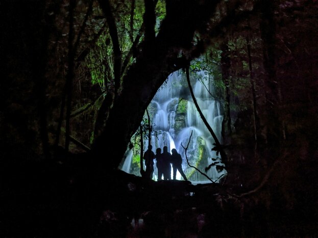 Real Rotorua - Nocturnal Adventure Glow-Worm Tour