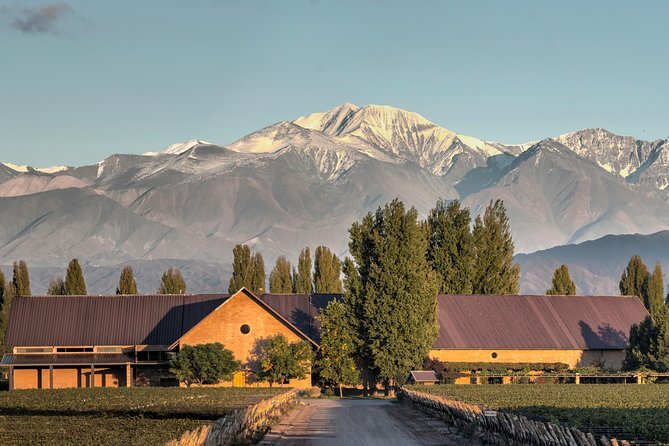 Half-Day Wineries Tour | Lujan de Cuyo & Maipu