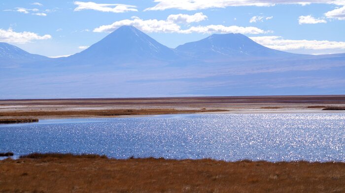Cejar Lagoon, Ojos del Salara, Tebenquiche Lagoon