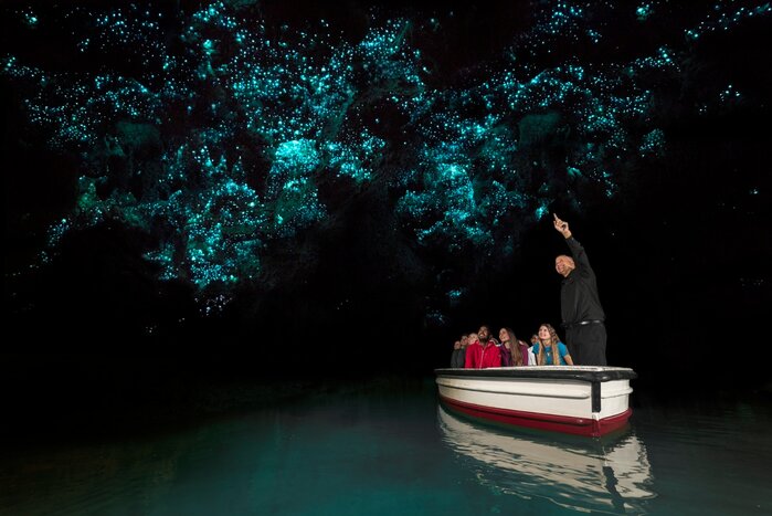 Waitomo Glow Worm Cave Tour
