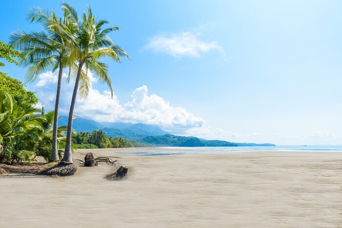 Discover the unspoiled Pacific beaches of Marino Ballena National Park