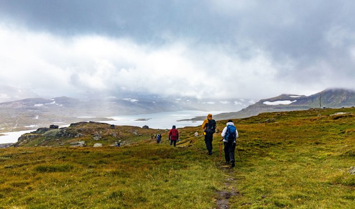 Arctic Trails Hike