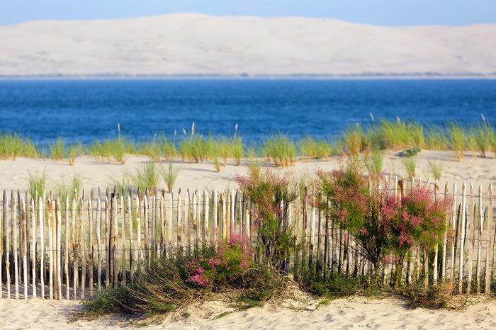 Pyla sand dune & Arcachon Oyster - Full day Tour