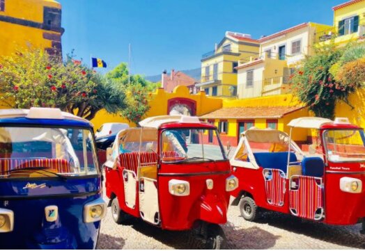 A Madeira Tradition: Monte Visit & Basket Descent