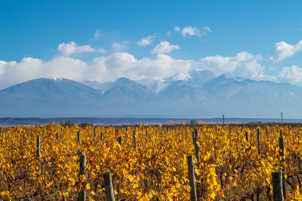 Uco Valley