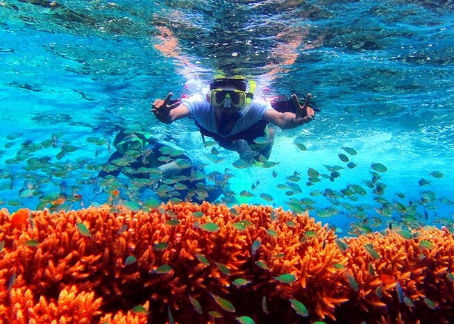 Snorkeling in Menjangan