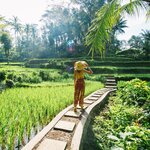 Start your trip in Bali and tour its lush countryside and ancient temples