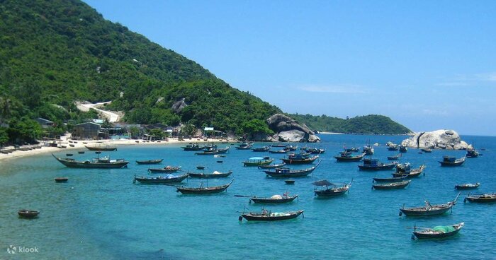 Cu Lao Cham Snorkeling (Join in a group) - Then transfer to Hue