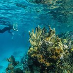 Underwater Belize