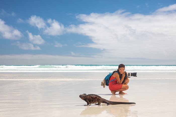 Marine iguanas pause for their close-up on Tortuga Bay Beach