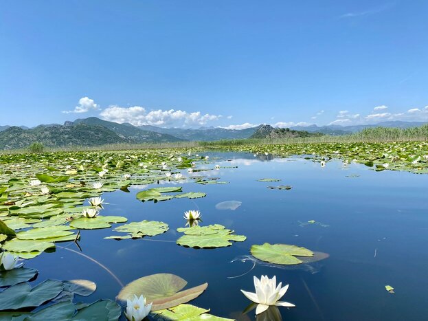 Guided Tour of Skadar Lake with a Traditional Boat Ride