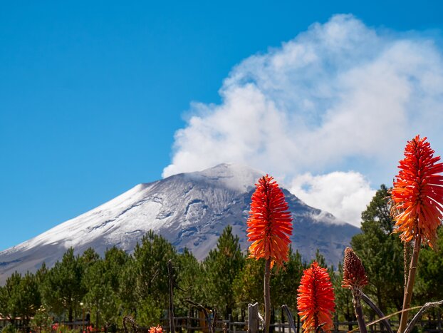 Explore the incredible volcanoes around Mexico City on this 10-day tour