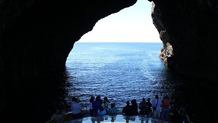 Discover the Bay Cruise