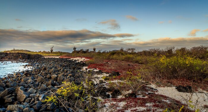 Day trip to Isla Floreana from Santa Cruz in the Galápagos