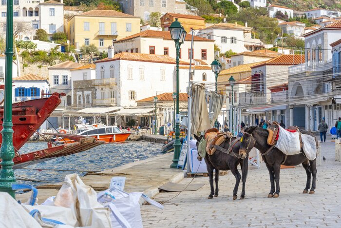 Private Hydra Island Day Trip