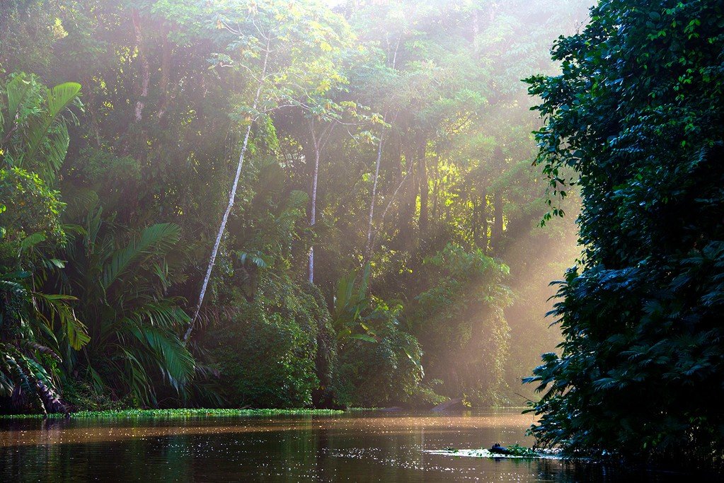 The serene waterways of Tortuguero National Park