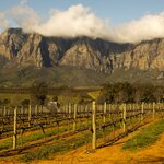 End your trip with winery tours (and tastings) in the Cape Winelands