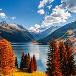 See the autumnal leaves in the Austrian Alps in Tyrol in October