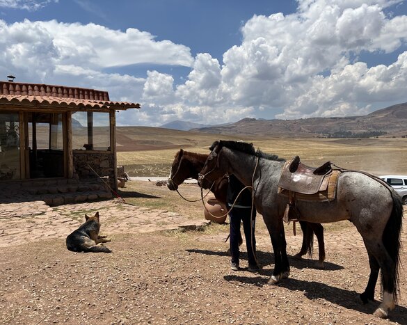 A day at MountainView Lodge