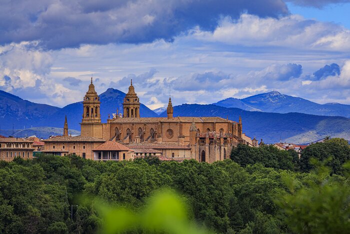 Catedral de Santa Maria la Real in Pamplona
