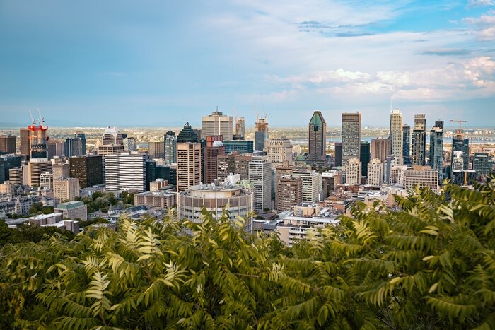 Enjoy panoramic views of Montréal from the top of Mount Royal