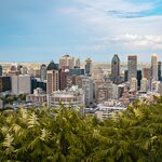 Enjoy panoramic views of Montréal from the top of Mount Royal