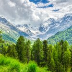Morteratsch Glacier with green spring foliage
