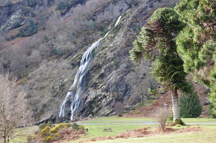 Wicklow & Powerscourt Half-Day Tour 