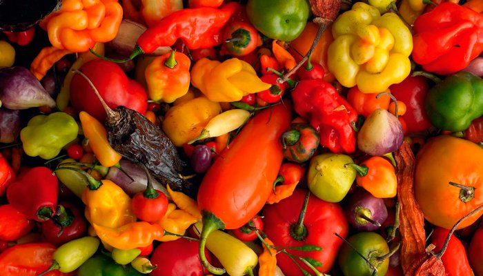 Lima Market & Hands on Cooking Program