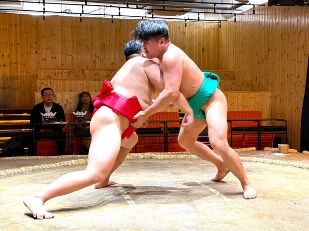 Sumo demonstration around a Japanese meal!