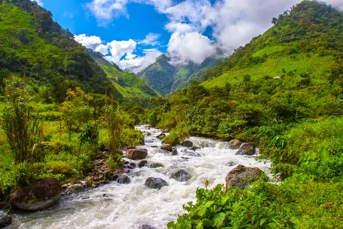 Overnight Shuttle from Quito to Cuyabeno Wildlife Reserve