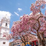 Admire colonial churches and colorful historic architecture in Panama City's historic center